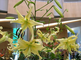 Foto: Dr. Peter Müller